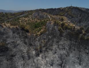 Fire brought under control in İzmir’s Karabağlar