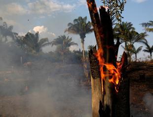 Forest fires in Brazil surge as deforestation accelerates