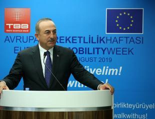 Turkey-EU should overcome difficulties together: Turkish FM