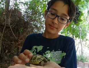 12-year-old boy becomes social media phenomenon with animal videos