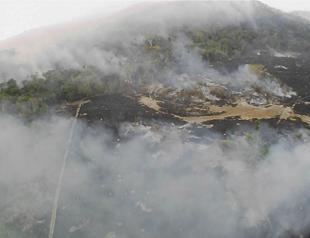 Global worry over Amazon fires escalates