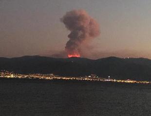 İzmir municipality to launch reforestation campaign for burned areas