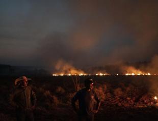 Brazils Bolsonaro authorizes army to fight Amazon fires
