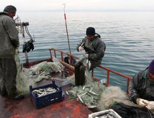 Fishermen expect more anchovy, less bonito in upcoming season