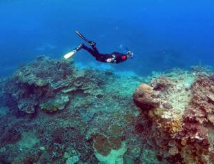 Australia lowers Great Barrier Reef outlook to very poor
