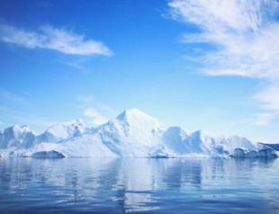 Climate change crippling marine life: Wildlife official