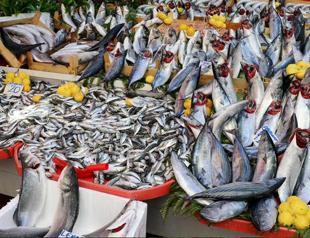 Illegal fishers fined $2.4M in 2019 in Turkey