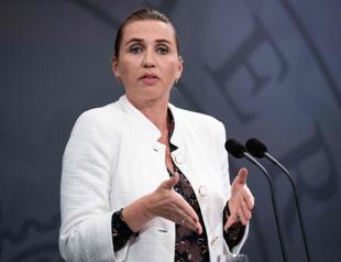 US welcomes Denmarks military assistance in Syria