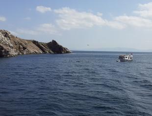 Project aims to revive Marmara Sea corals