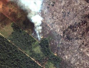 Deforestation prevention key to fight climate change