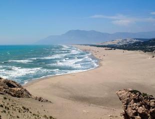 ‘Prevent concreting over beaches’