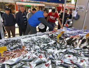 Above-average water temperature in Black Sea leads to poor catch