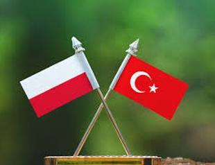 Polish Sèvres Syndrome: Op-ed