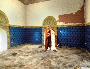 ‘The Tortoise Trainer’ comes to life with project