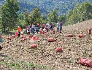 Turkish aid agency helps family economy in Srebrenica