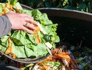 Food waste third-largest gas emitter: UN