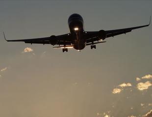 Airlines agree on price cap for domestic flights