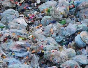 Over 5,000 facilities fined for violating environment rules