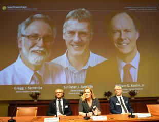 Three scientists share Nobel Medicine Prize