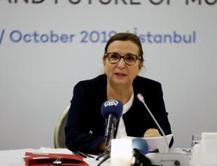 Turkey raises concerns over Brexit, trade wars