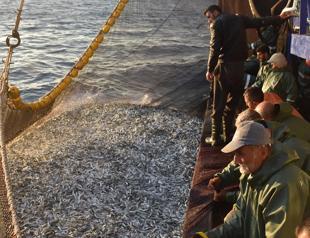 Ban on fishing with light on way