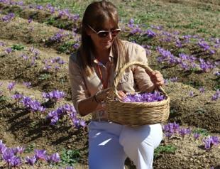Saffron attracts tourists to Black Sea town of Safranbolu