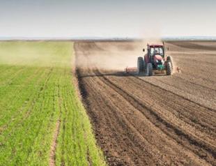 Happy farmers will contribute to global food security: Scientist