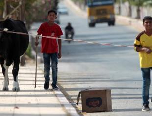 Civil council to take power in freed Tal Abyad: Syria