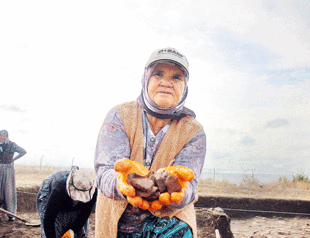 Women find livelihood in ancient city of Hera