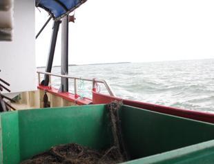 Fishing plastic ghost nets out of the Baltic