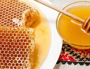 International organizations back Turkish pine honey