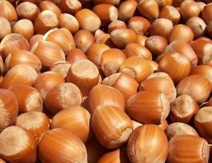 Turkeys hazelnut exports hit record high in 2 months