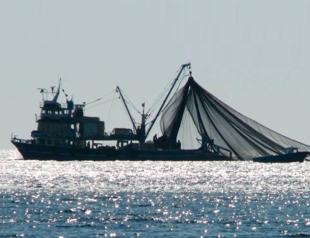 Changes in Turkish law to push eco-friendly, sustainable fishing