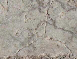 Ancient Pinocchio unearthed in Denizli