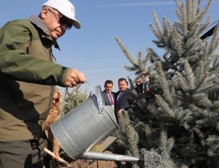 Turkey plants 11 million saplings on National Forestation Day