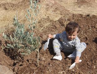 Turkey breaks world record of most sapling planted in 1 hour