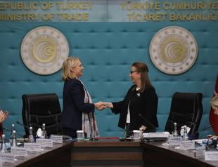 Turkey, Georgia to work on simplified customs line