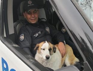 No man left behind: Officers take stray dog with them as they move to new police station