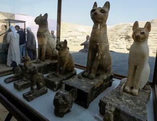 Egypt unveils animal mummies of lion cubs, crocodiles, birds