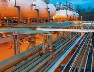 Natural gas imports down more than 7 pct