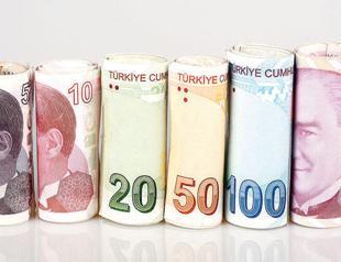 Turkey got through economic crisis reasonably well, says economist