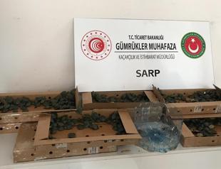 Turkey seizes 3,400 smuggled terrapin turtles at border
