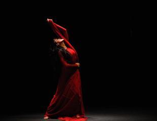 Endless Arms of flamenco on Istanbul stage