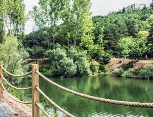 Turkish university among world’s top 100 green campuses