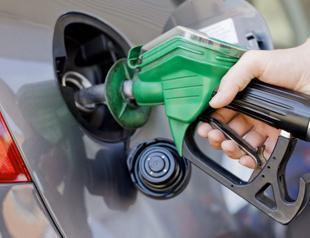 Turkey to take care of export-fueling sectors, says minister