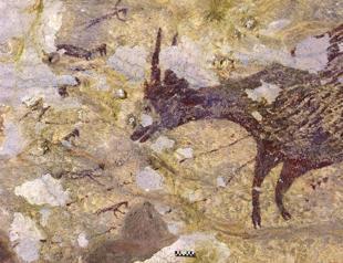 Worlds oldest artwork uncovered in Indonesian cave