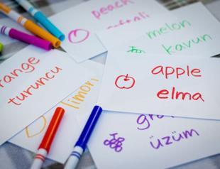 Cultural institute teaches Turkish tongue to thousands