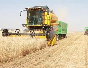 Turkey remains world’s largest flour exporter