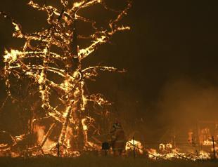 Australias PM defends climate stance amid wildfire disaster