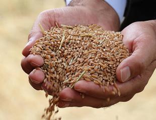 European bank funds Turkish seed firm to back operation